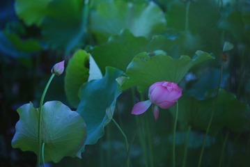 C0F8035C-F523-4F12-91D8-A11B28DFBD08/L0/001