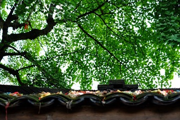 DSCF0208.JPG
