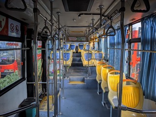 16231