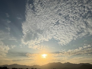 726F7B27-4A2B-4D6F-8E6C-CC24F8ACD112/L0/001