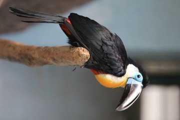 IMG_4331.JPG