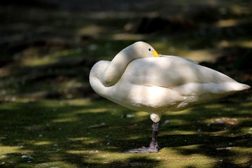 IMG_4349.JPG