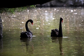 IMG_4372.JPG