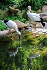 IMG_4384.JPG