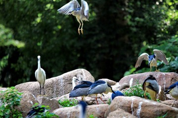IMG_4390.JPG