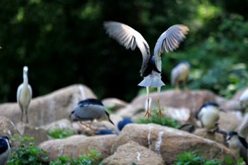 IMG_4392.JPG