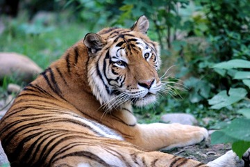 IMG_4415.JPG