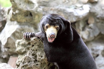 IMG_4441.JPG