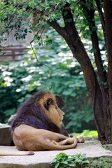 IMG_4454.JPG