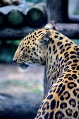 IMG_4457.JPG