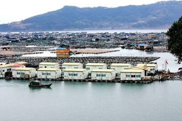 20902.JPG