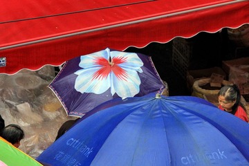 IMG_4559.JPG