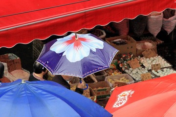 IMG_4560.JPG