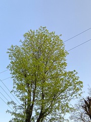 D4D0CBF7-716E-41AC-AF7D-38EAE9D90BF9/L0/001