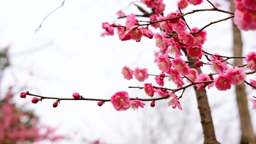 3F7682D8-B6DE-41B1-A712-42DC8DE7EEDF/L0/001