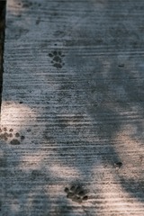 1443100