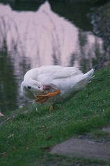 373672