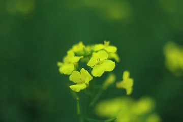 91DDFE47-F28D-4213-87B9-CE89A575F35D/L0/001