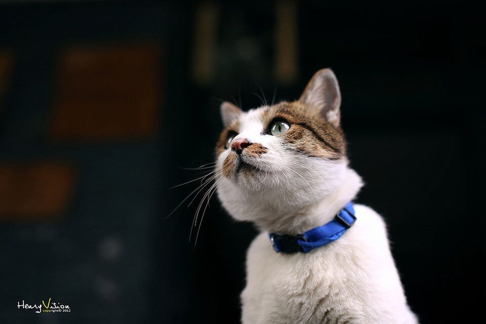 My favourite model<br />