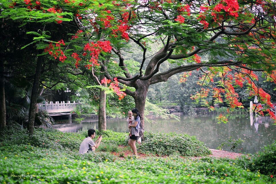 You Are The Beauty In My Eye<br />
风景里最美的是你,而你们成了我所见到最美的风景。摄于深圳荔枝公园。