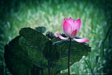 WXY_0146