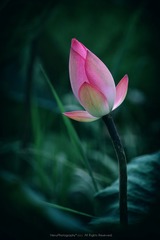 WXY_0165