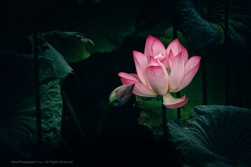 WXY_0199