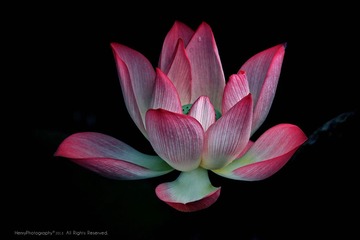 WXY_0206