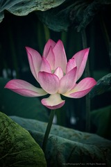 WXY_0207