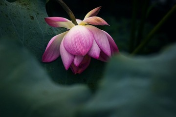 WXY_0211