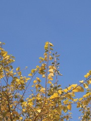 64F7B1EF-AF22-40F4-854A-C308EB2044AF/L0/001