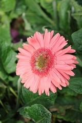 7C4631FB-5D30-4D87-B900-458BA8E99A9F/L0/001