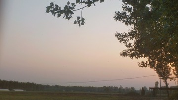 2600077
