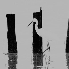 DSC_0125-1
