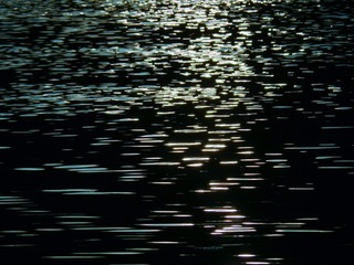 1000023179