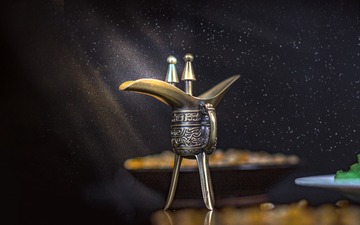 25502