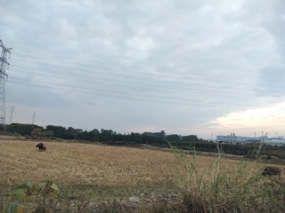 1000063886