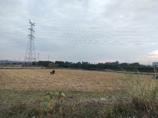 1000063900