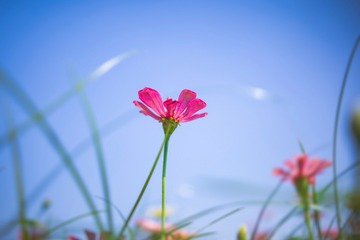 8B914ECD-0B78-45EB-9FA8-9A47DD6BACED/L0/001