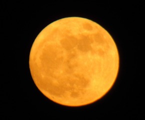 1022426