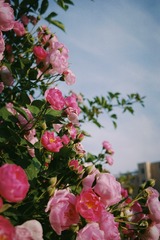 1D1F22E6-3FB1-4F1D-AD87-BBE9133E07BA/L0/001