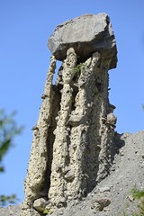 IMG_3487.jpg