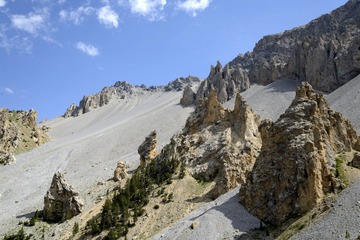 IMG_3522.jpg