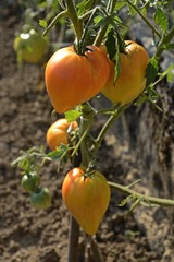 IMG_3611.jpg