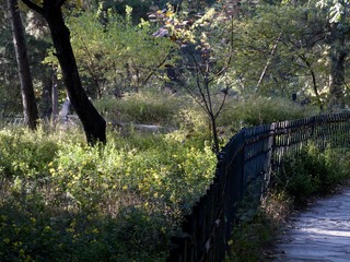 IMG_2581.jpg