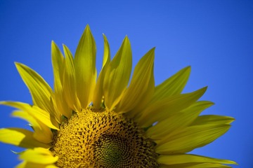 IMG_7968.jpg