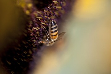 IMG_8037.jpg