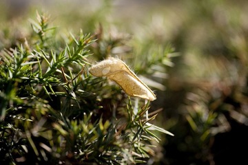 IMG_8049.jpg