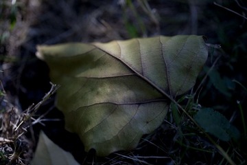 IMG_8058.jpg