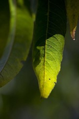 IMG_8101.jpg